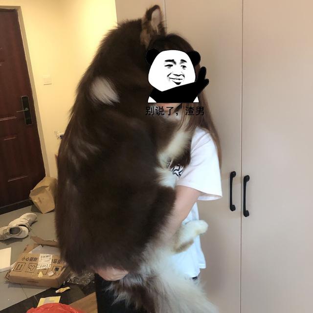 6dd5e665207d4dfd891425a33f69cdaa.jpeg