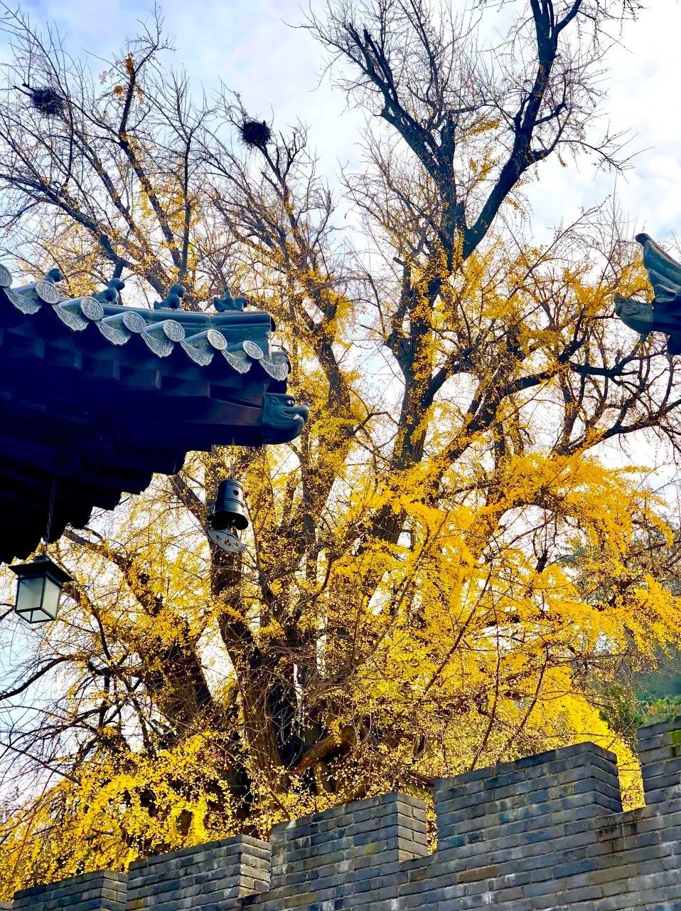 有一座山有树有草看图猜成语_看图猜成语(2)