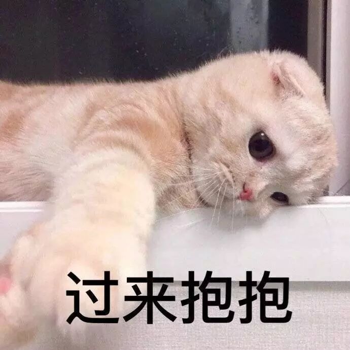afe539b509044c5f8c91d1be6e48dad0.jpeg