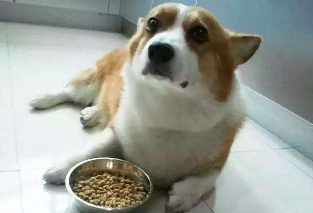 b055736362fb4b7d8d27192a9e7c8f53.jpeg