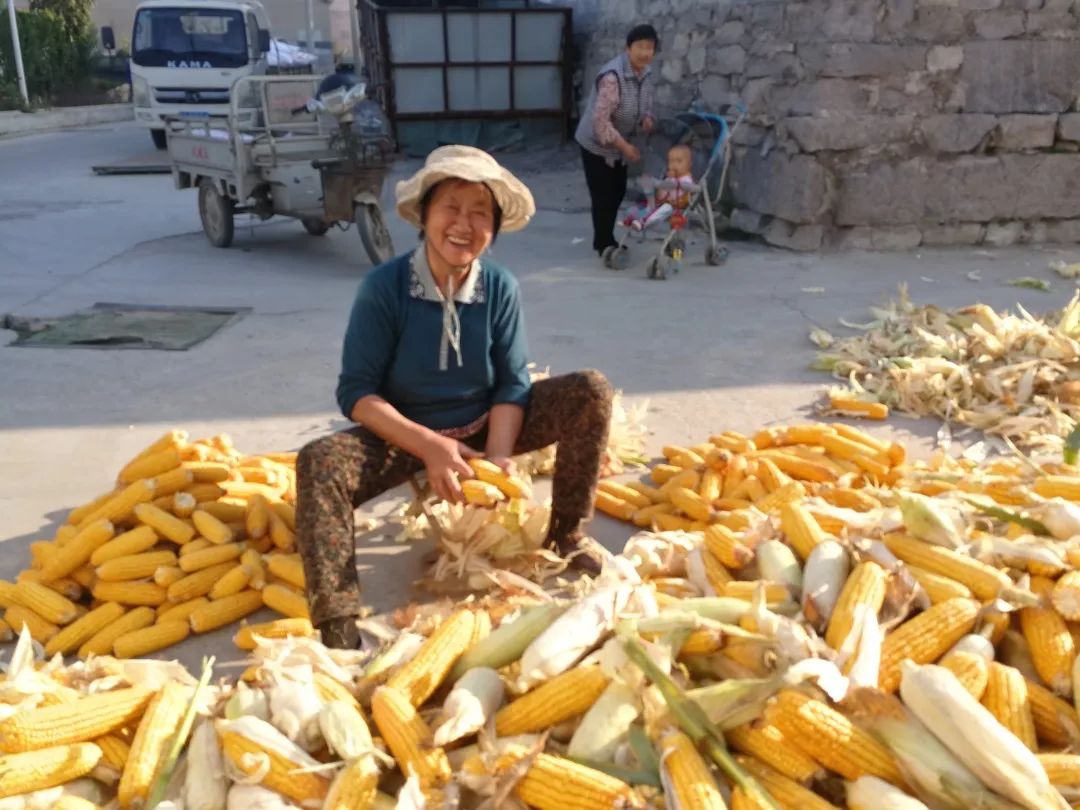 丰收的喜悦 农民的笑脸