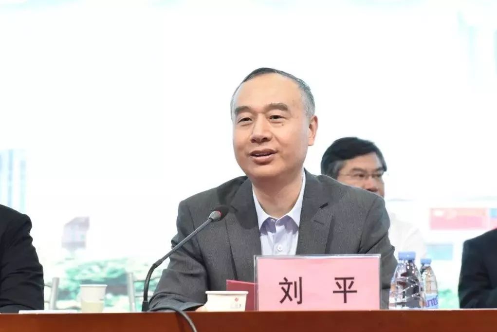 中华中医药学会副秘书长刘平,广西中医药学会第七届执行会长,广西中医