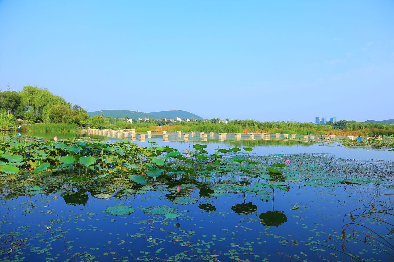 青岛人口流失严重_河南最失败的4个城市,2个国家区域中心,1个曾为世界第一大(2)