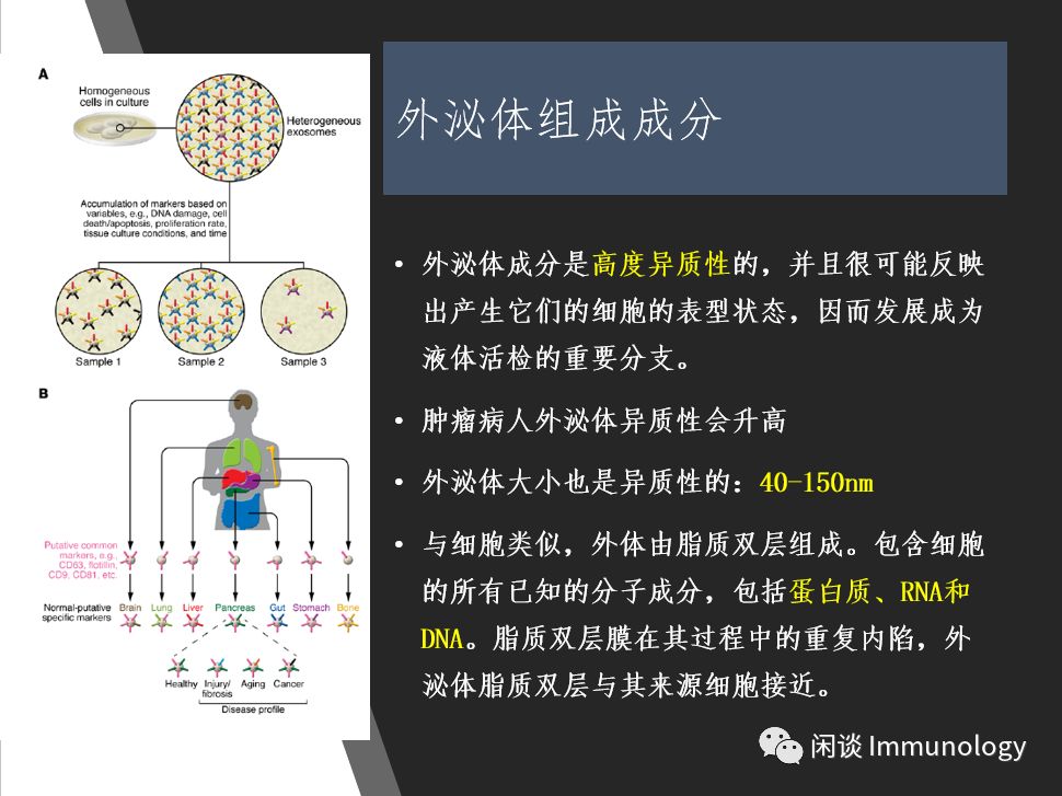 外泌体的前世今生与肿瘤诊断治疗