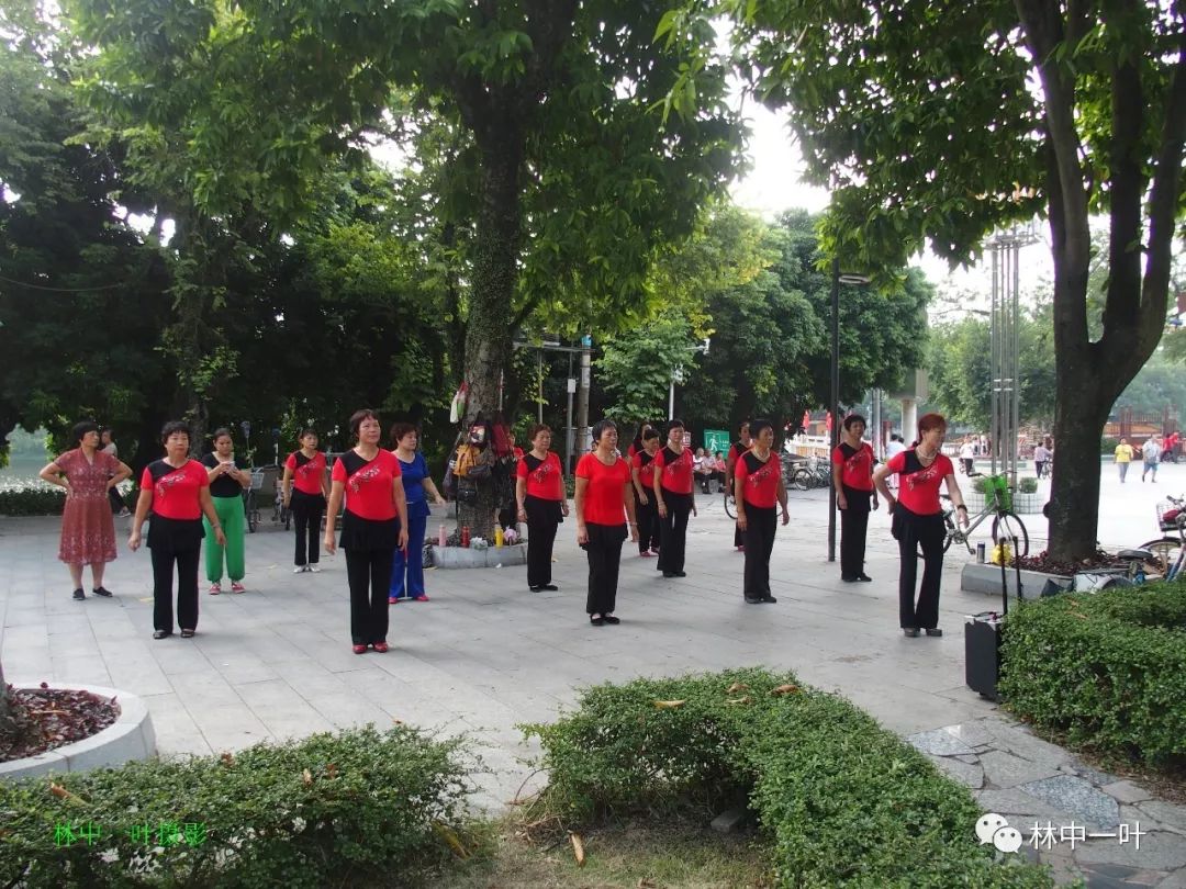 歌曲风含情水含笑