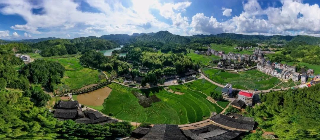 乐清大荆坎头村常住人口_乐清蛎灰窑村