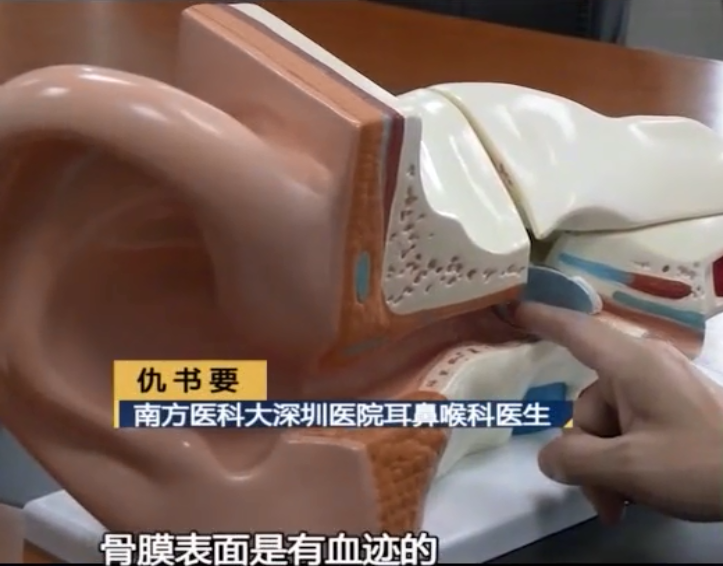 凡凡情感■原创2岁男童哭喊耳朵痛，医生检查发现鼓膜被啃，取出一看家长傻眼！