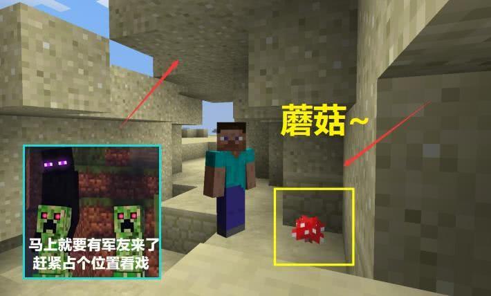 f88d539868074c8693ae0e014033c83c.jpeg