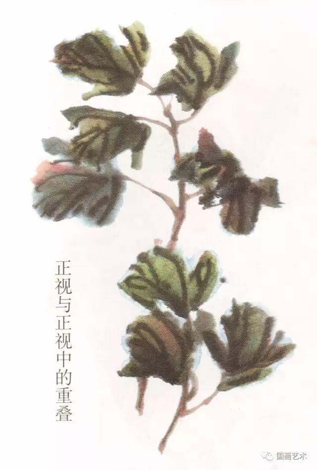 0411d74238e04ba5b8f388aa1ce3ad79.jpeg