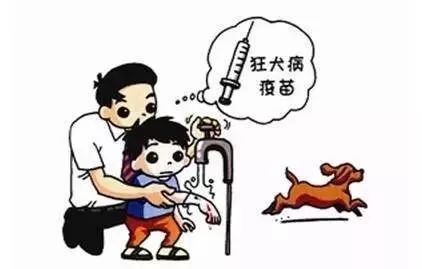 狂犬病什么时候可以完全治疗 08223c3f4b444600a469309f18bc38d7.jpeg