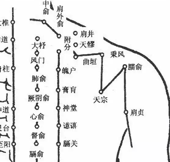 天宗正从胛中起,内应五椎岗下际