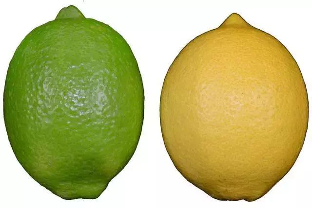 2288a5e3d0f0467b8f2d7abb373186e1.jpeg