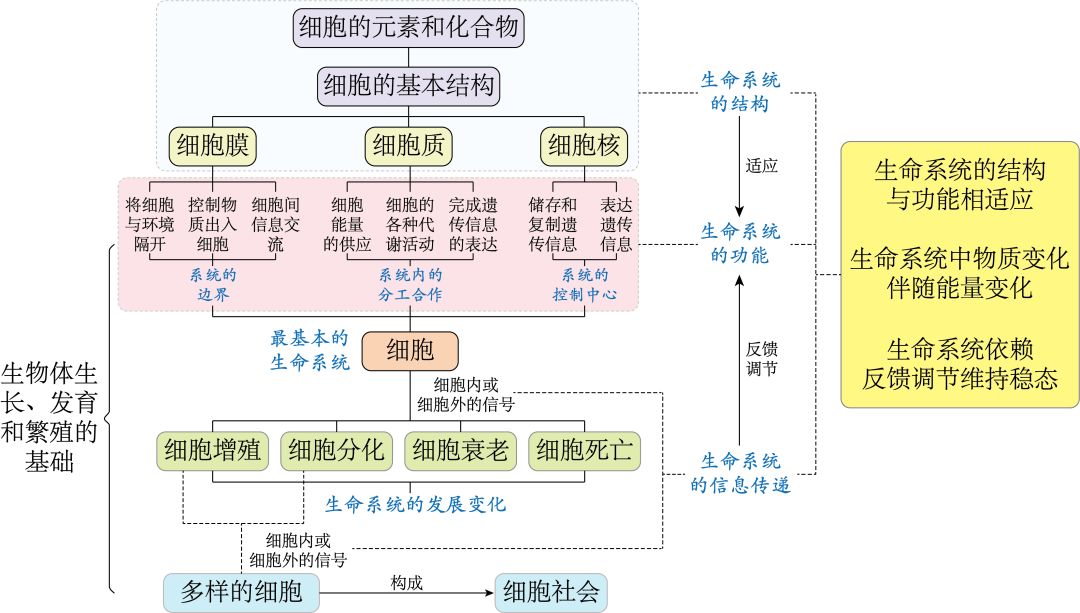 稳态人口定义_内环境稳态思维导图(3)