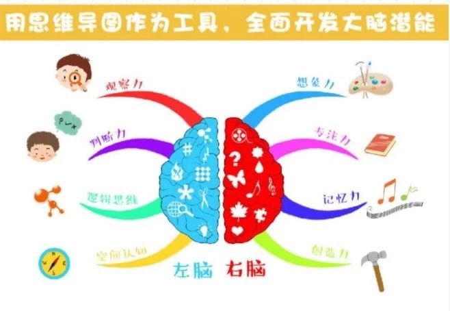 荐书| 思维导图全脑开发游戏,一本学龄前儿童思维导图