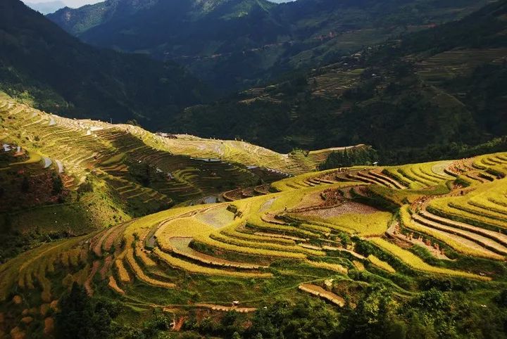 环江县有多少人口_恭喜武鸣 马山 都安 金城江 环江的朋友 贵南高铁要经过你(3)