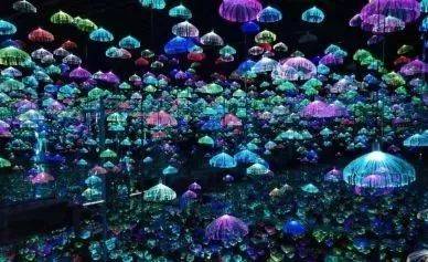 4e2387060705478cbd8e65880313c4b7.jpeg