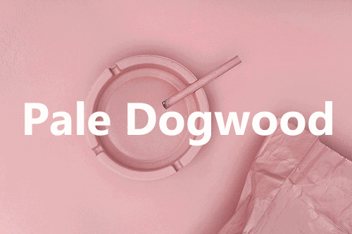 5272c389cf7f4fa7b542269dea2435fe.gif