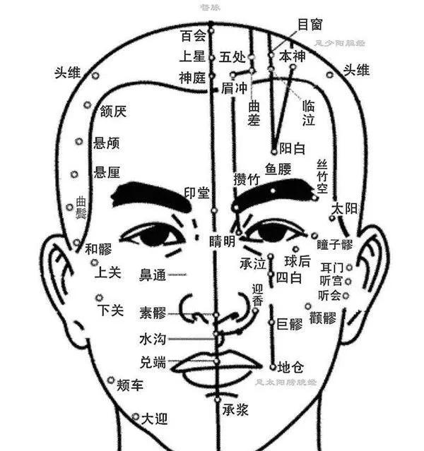 鼻头素髎位中央,两翼沟里挟迎香 瞳子直下过阳明,四白巨髎寸寸停 阳