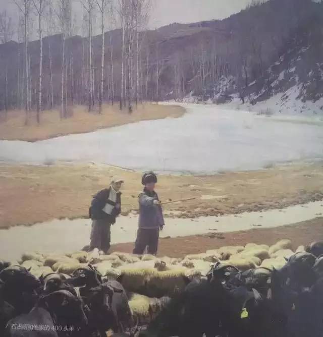 文章配图