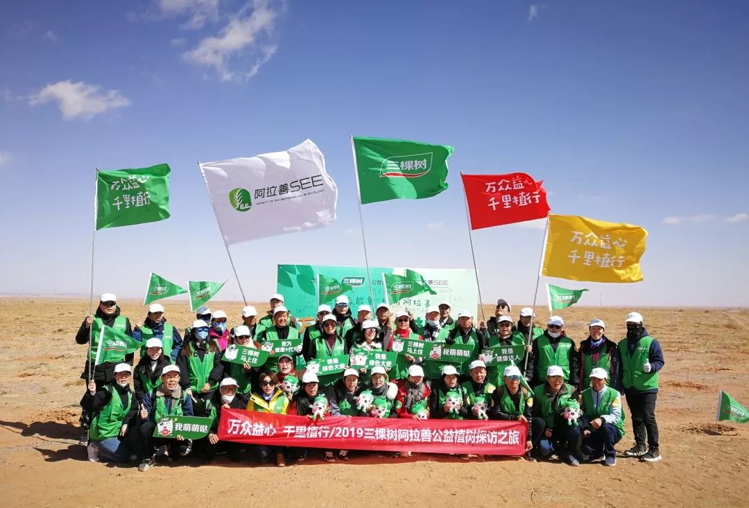 三棵树在路上猜成语_三棵树图片