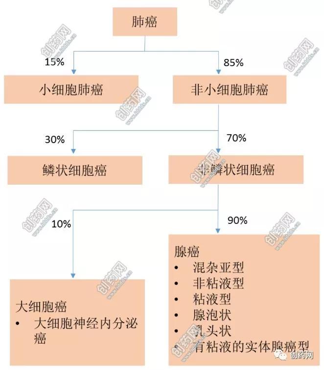 肺癌可分成非小细胞肺癌(nsclc)与小细胞肺癌(sclc)两种病理分型