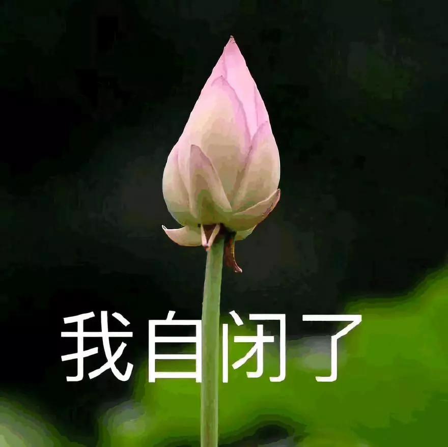什么什么寡欲成语_什么欲试成语