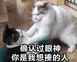 7d899fe5919f4a829fb4ff9ee1c01914.JPG