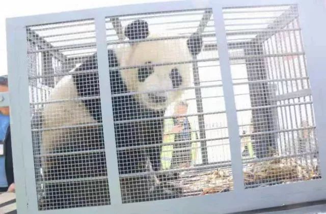 内蒙古人均寿命_内蒙古大草原图片(3)