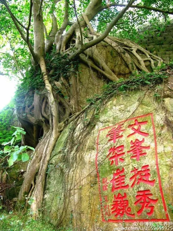 来吧,这里没有高山大海,但这里有那难觅的小清新,涂寨文笔山走起.