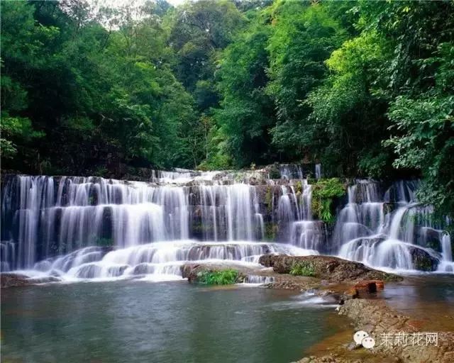 【旅游攻略】国庆去哪儿玩之横县旅游