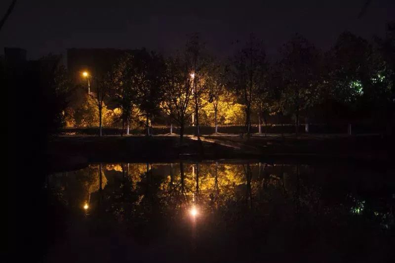 让我静静地坐在湖边享受这安静的夜晚