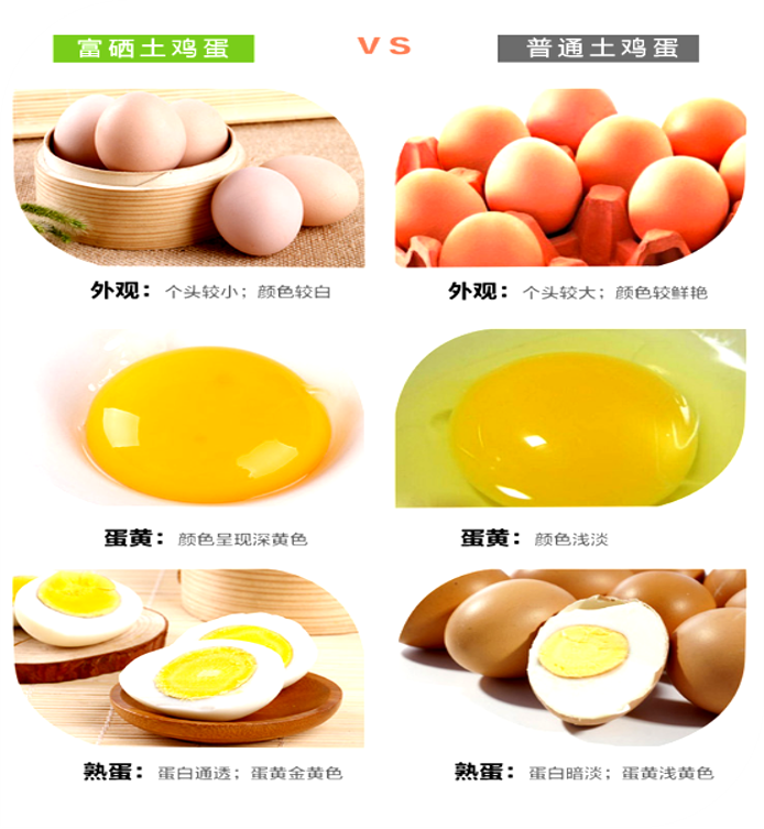 吃什么东西能补硒 b04462b25caf4175855e5a772851270e.png