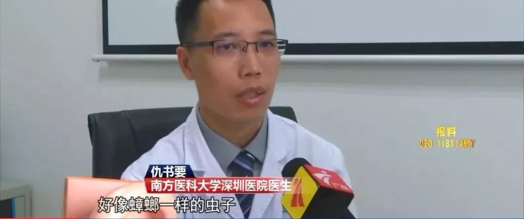 [广东活动]广东2岁男孩哭闹不止，医生从他耳朵里掏出活蟑螂：它在啃食…