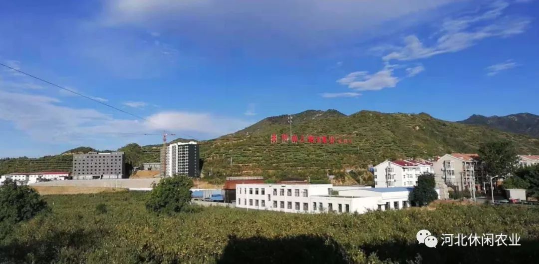 no.27 内丘县富源岗底苹果采摘游线路