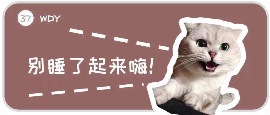 小猫睡觉不闭眼怎么办