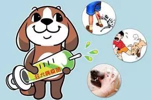 怎么给猫打免疫球蛋白 e7711cdb97cd424f94e85acac5fc344a.jpeg