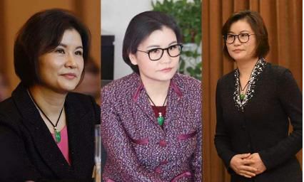 成功女老总_成功人士图片(2)