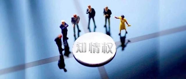 案件聚焦：2500万买了空气？股东为行使知情权申请强制执行