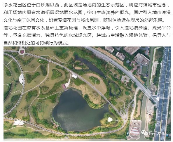 宝山杨行白沙公园今正式开放
