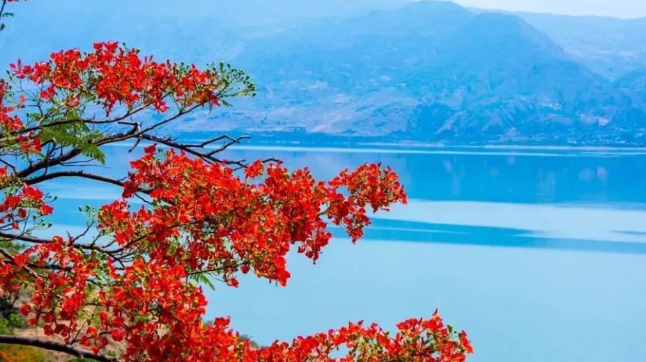 东边村人口_民治东边老村图片