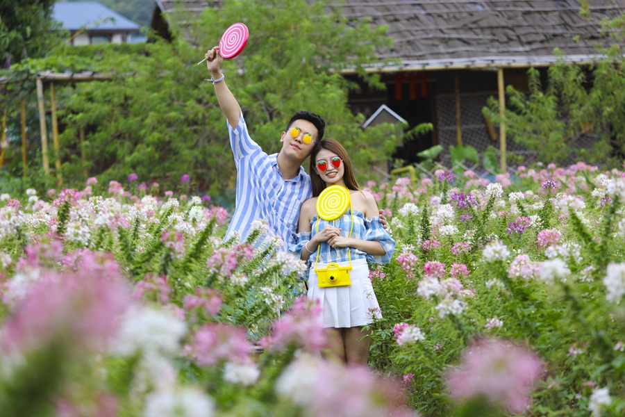 国庆假期到盈香生态园来一趟美景美食之旅