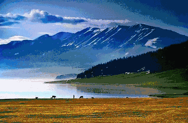 赛里木湖位于哪个镇 1e3c77928c9f412c9dcee92bad0f8ec3.gif