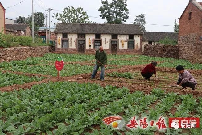 林州合涧各村人口_林州合涧木纂村图片(2)