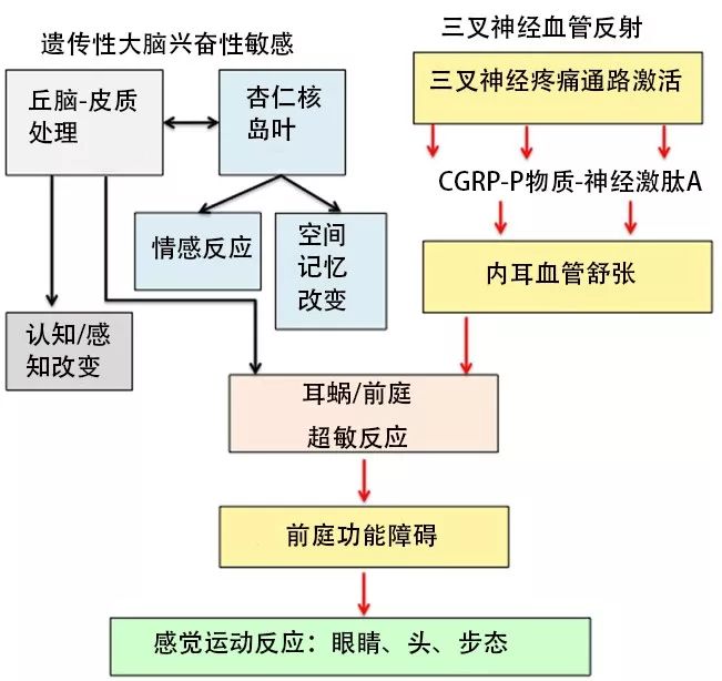 偏头痛的原理_神经末梢炎