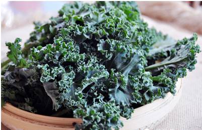 现在能种什么菜最好 44ed47ff09e84f3ead72bd0332aa3ac2.jpeg