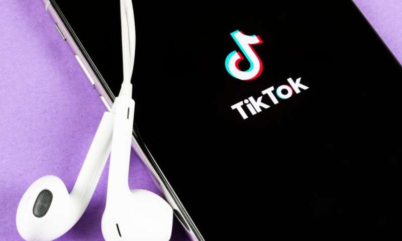 TikTok走红印度带动手机配件销量激增10倍