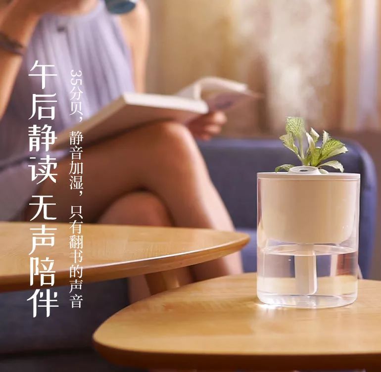 一款能diy种绿植的加湿器一秒治愈负能量
