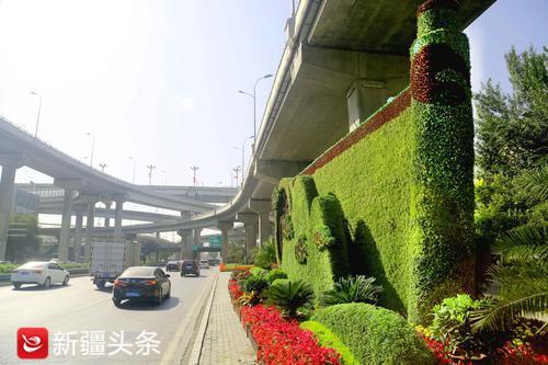 烏魯木齊河灘快速路打造主題花堆扮靚城市_造型