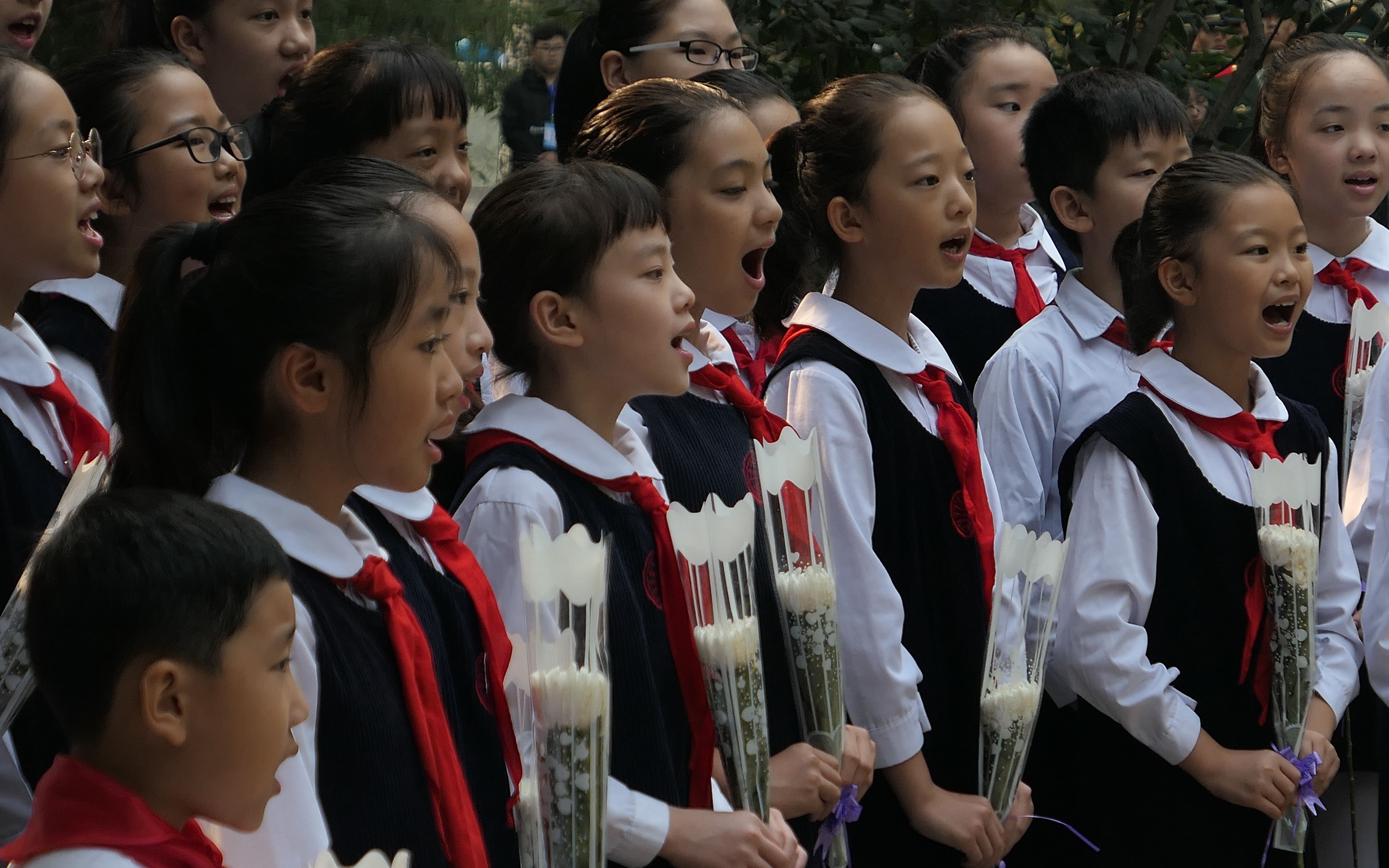 北京朝阳举行公祭，已梳理全区1164名烈士档案