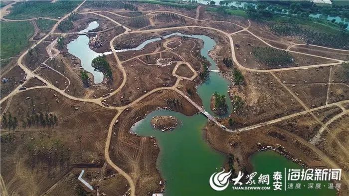 宁阳洸河生态植物园